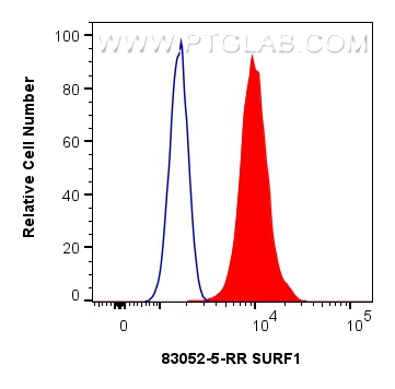Flow cytometry (FC) experiment of HepG2 cells using SURF1 Recombinant antibody (83052-5-RR)