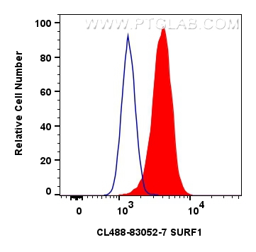 Flow cytometry (FC) experiment of HeLa cells using CoraLite® Plus 488-conjugated SURF1 Recombinant an (CL488-83052-7)