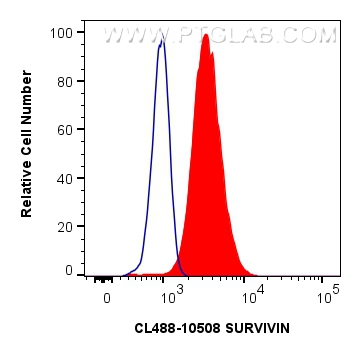 Flow cytometry (FC) experiment of Jurkat cells using CoraLite® Plus 488-conjugated SURVIVIN Polyclonal  (CL488-10508)