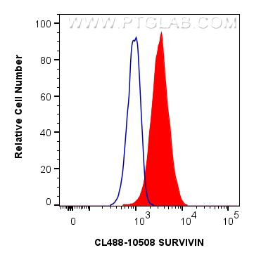 Flow cytometry (FC) experiment of Jurkat cells using CoraLite® Plus 488-conjugated SURVIVIN Polyclonal  (CL488-10508)