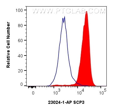 Flow cytometry (FC) experiment of Jurkat cells using SCP3 Polyclonal antibody (23024-1-AP)