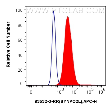 Flow cytometry (FC) experiment of Caco-2 cells using SYNPO2L Recombinant antibody (83532-3-RR)