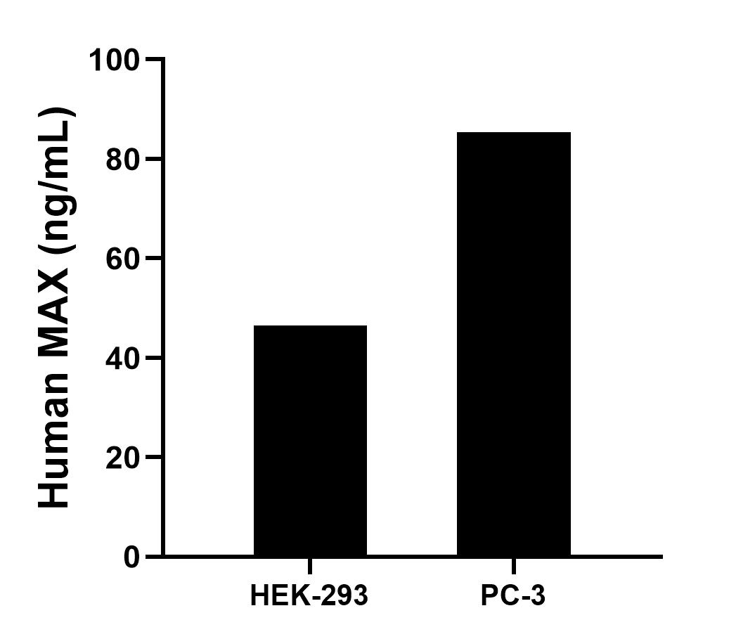 Sample test of MP00126-3