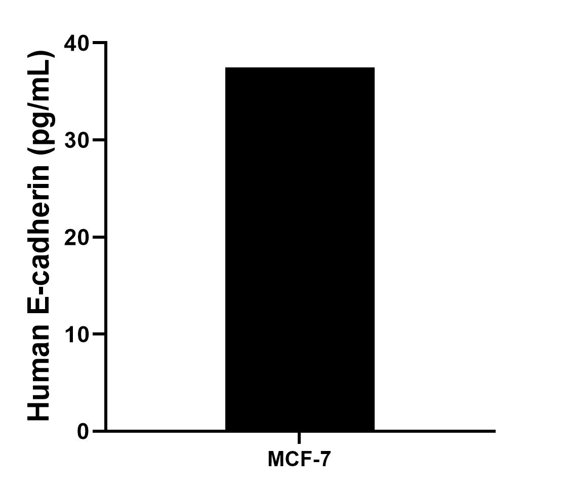 Sample test of MP00187-7