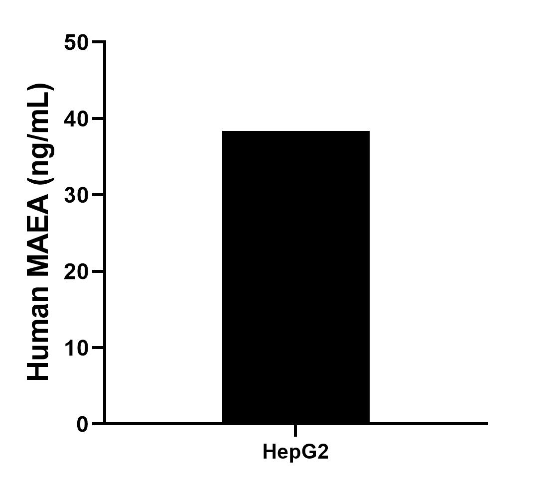 Sample test of MP00233-4