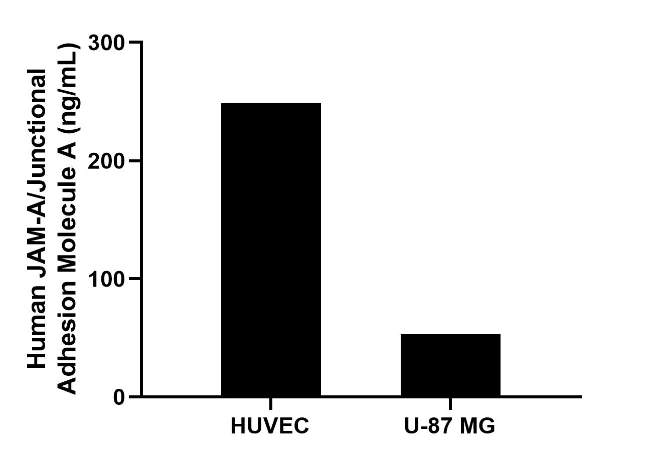 Sample test of MP00247-2