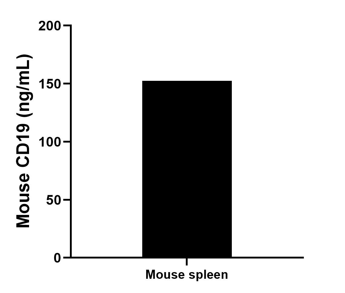 Sample test of MP00253-4