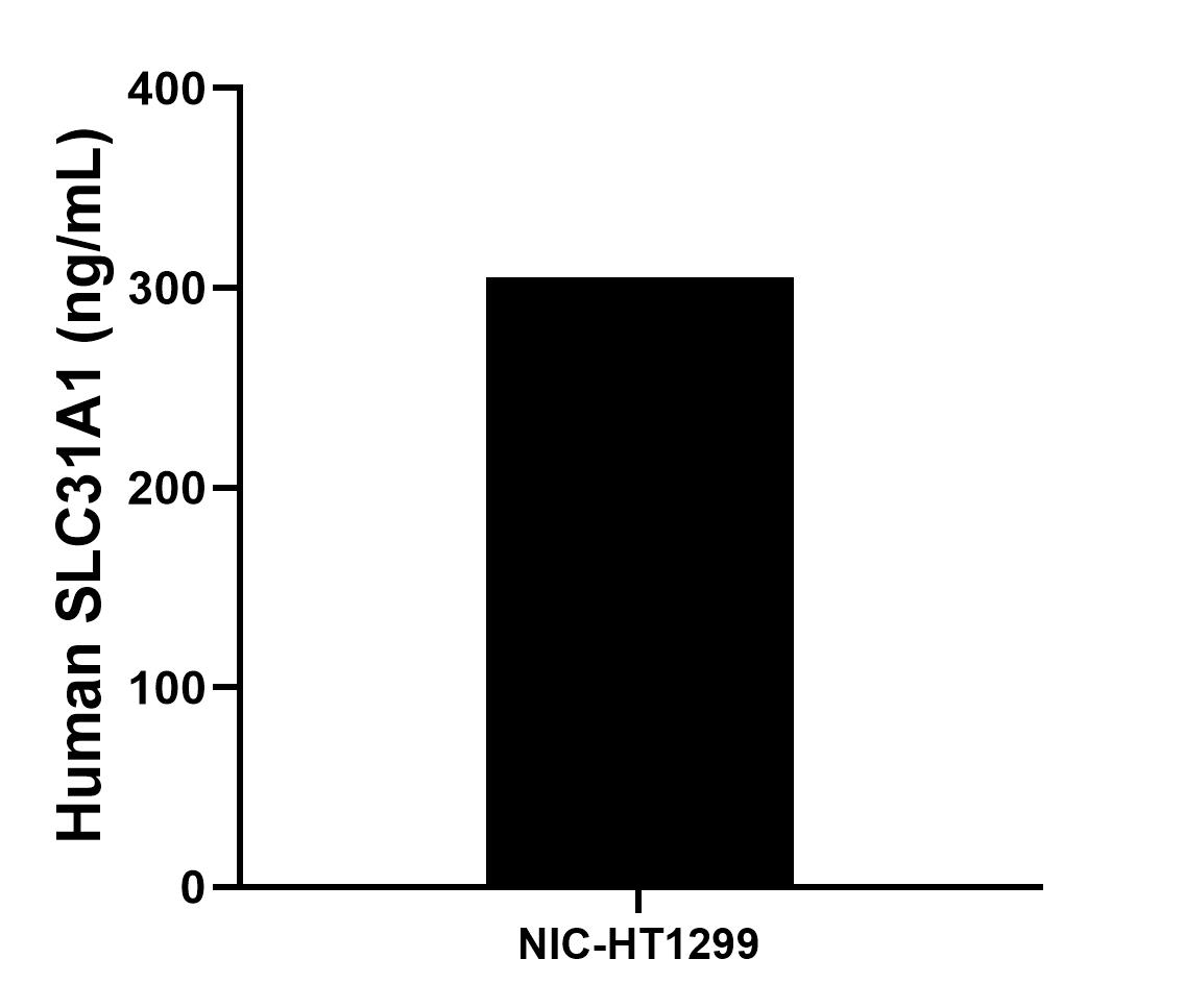 Sample test of MP00817-4