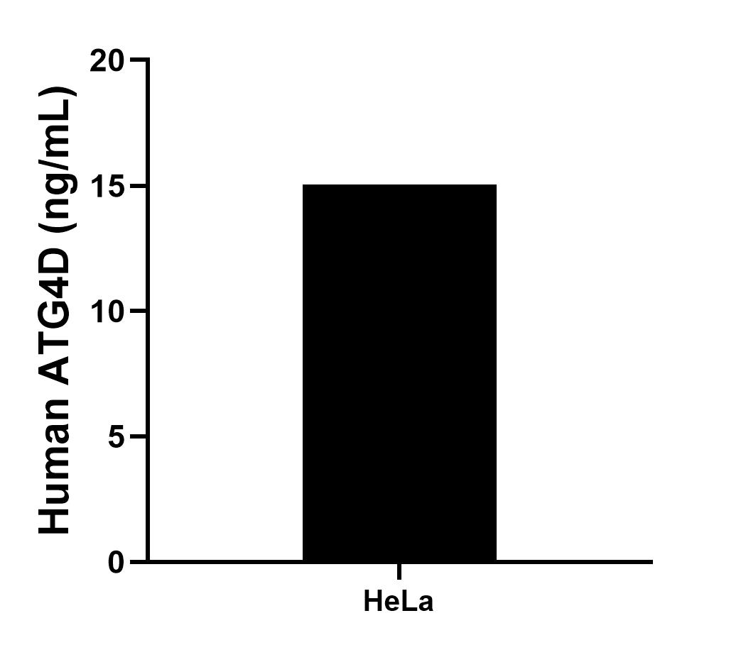 Sample test of MP00902-4