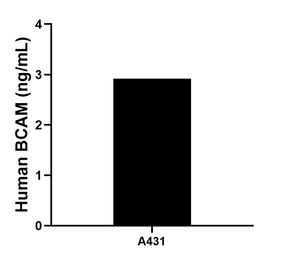 Sample test of MP00965-2