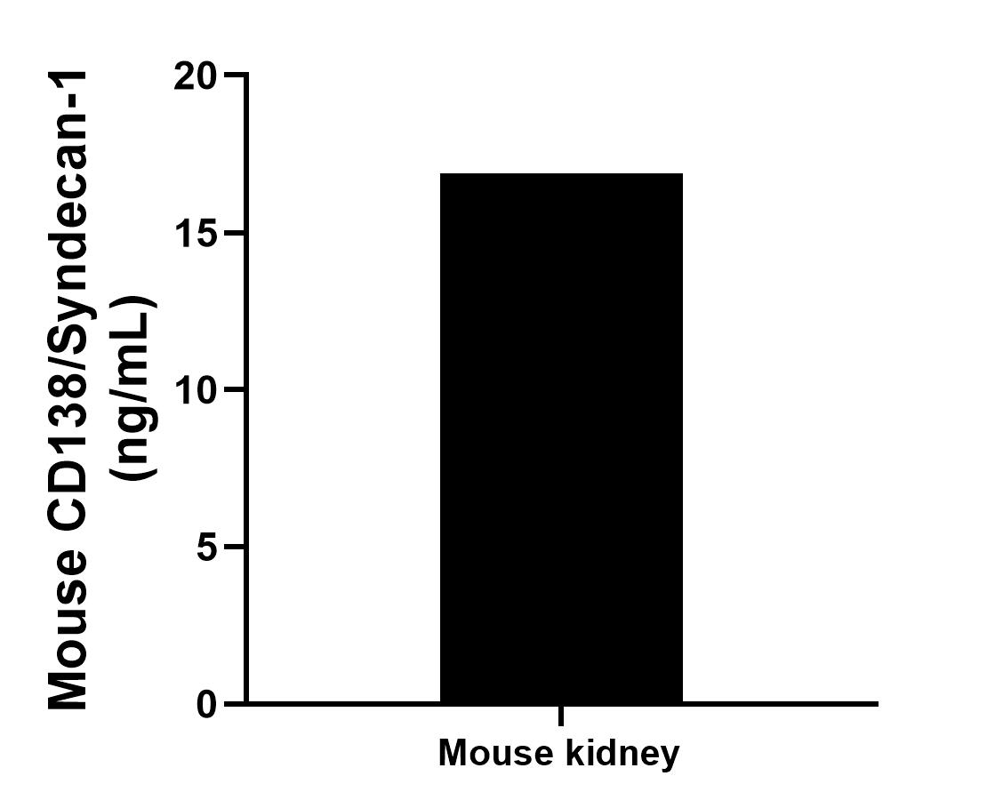 The mean CD138/Syndecan-1 concentration was determined to be 16.88 ng/mL in mouse kidney cell extract based on a 3.10 mg/mL extract load.