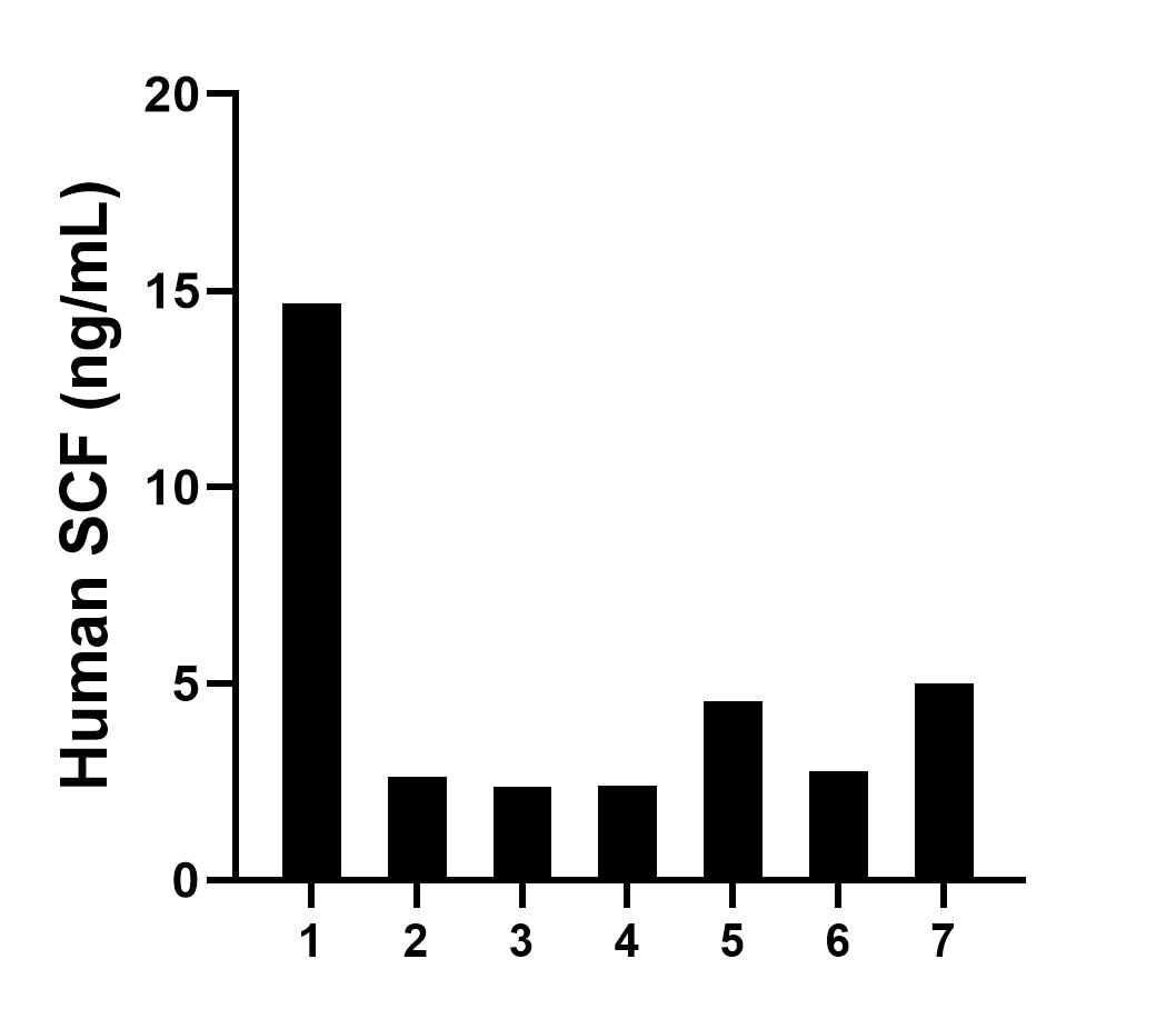 Plasma of seven individual healthy human donors was measured. The human SCF concentration of detected samples was determined to be 4.91 ng/mL with a range of 2.40 - 14.68 ng/mL. Plasma of seven individual healthy human donors was measured. The human SCF concentration of detected samples was determined to be 4.91 ng/mL with a range of 2.40 - 14.68 ng/mL.