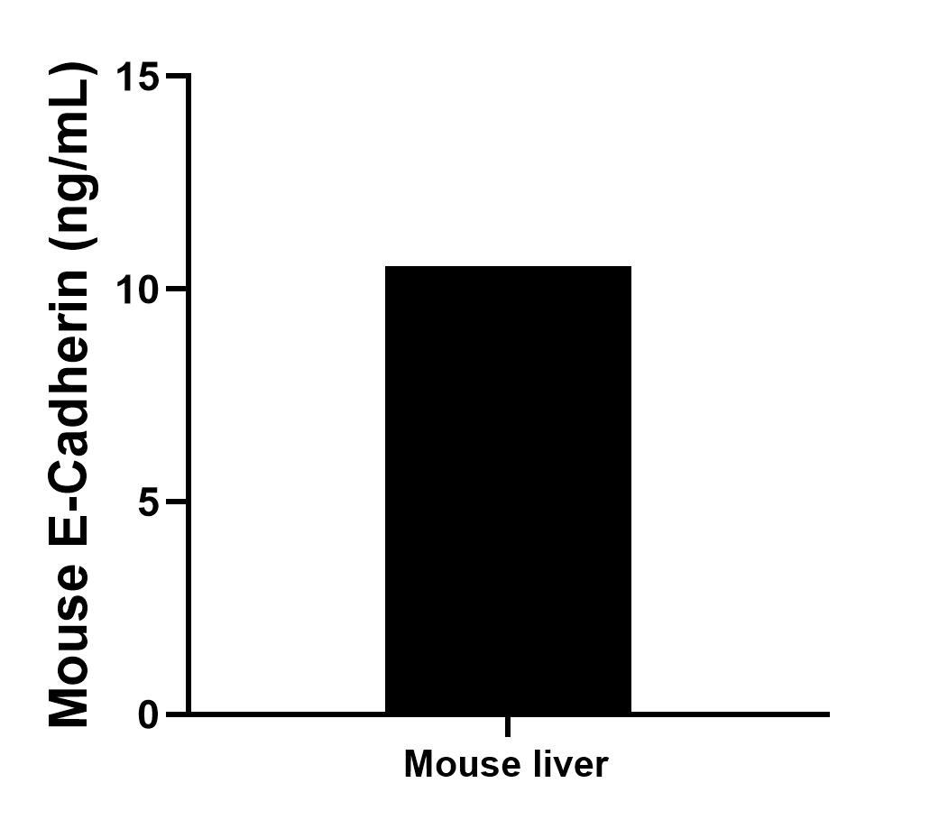 The mean E-Cadherin concentration was determined to be 10.6 ng/mL in mouse liver cell extract based on a 5.0 mg/mL extract load.