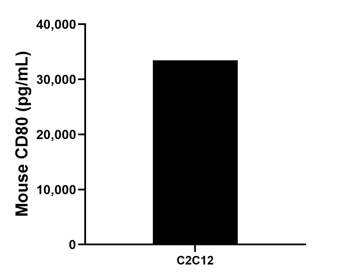 Sample test of MP01051-4