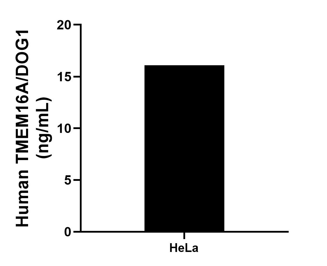 Sample test of MP01115-3