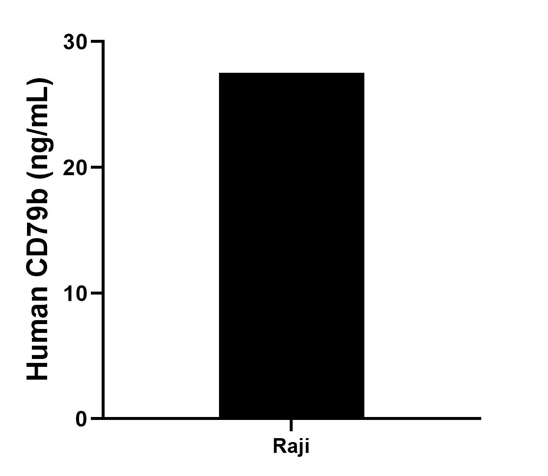 Sample test of MP01141-2