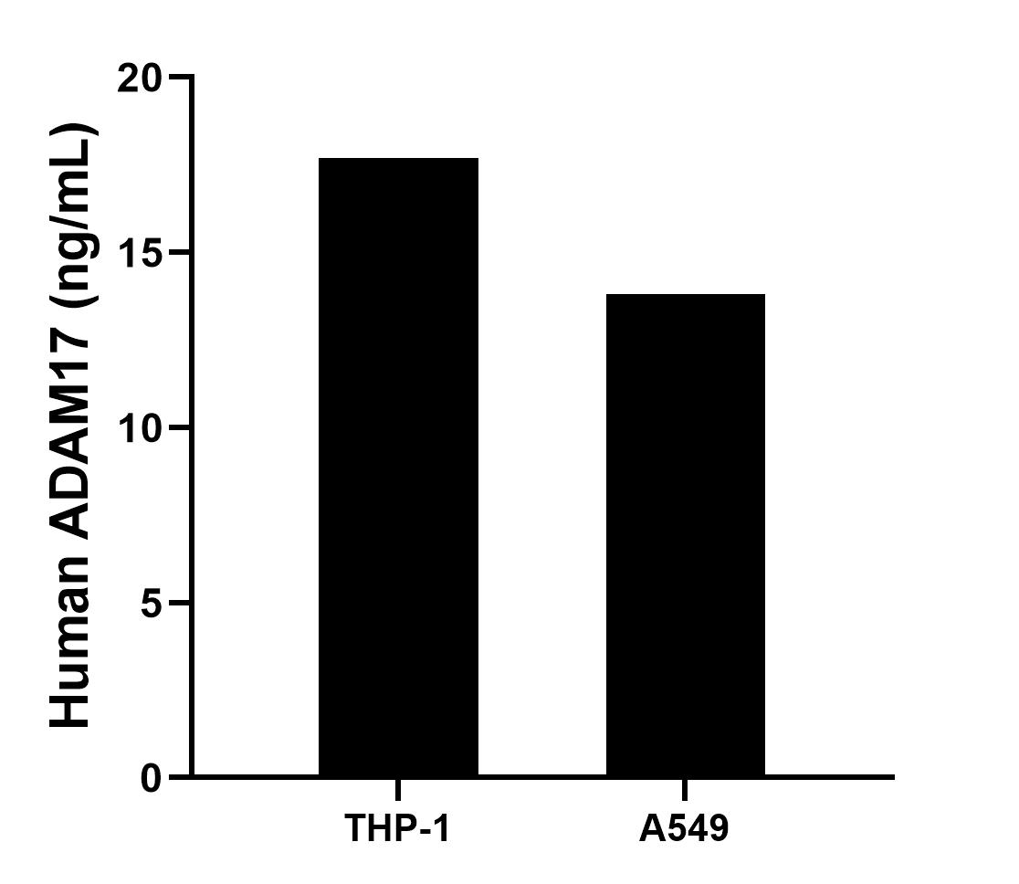 Sample test of MP01169-3