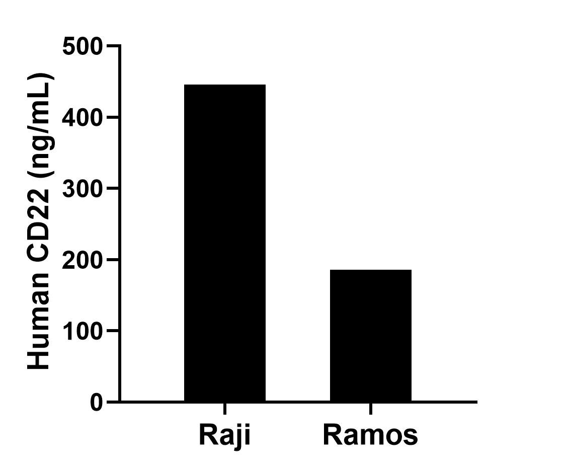 Sample test of MP01173-3