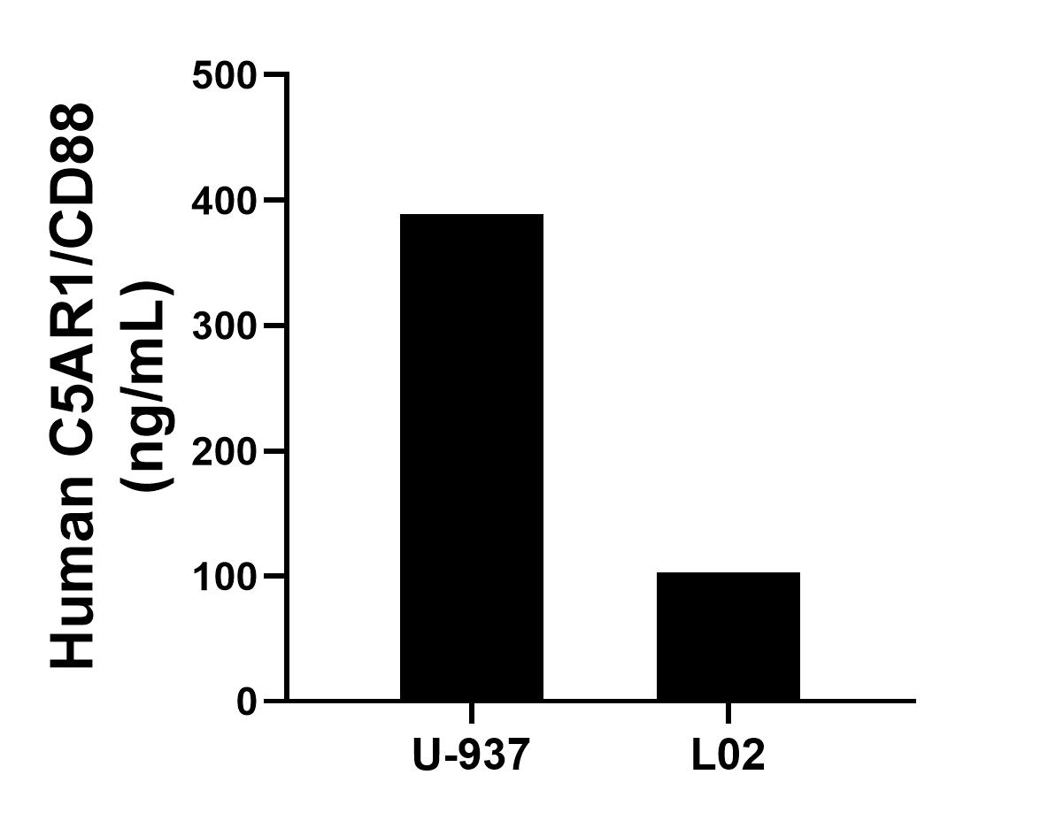 Sample test of MP01255-4