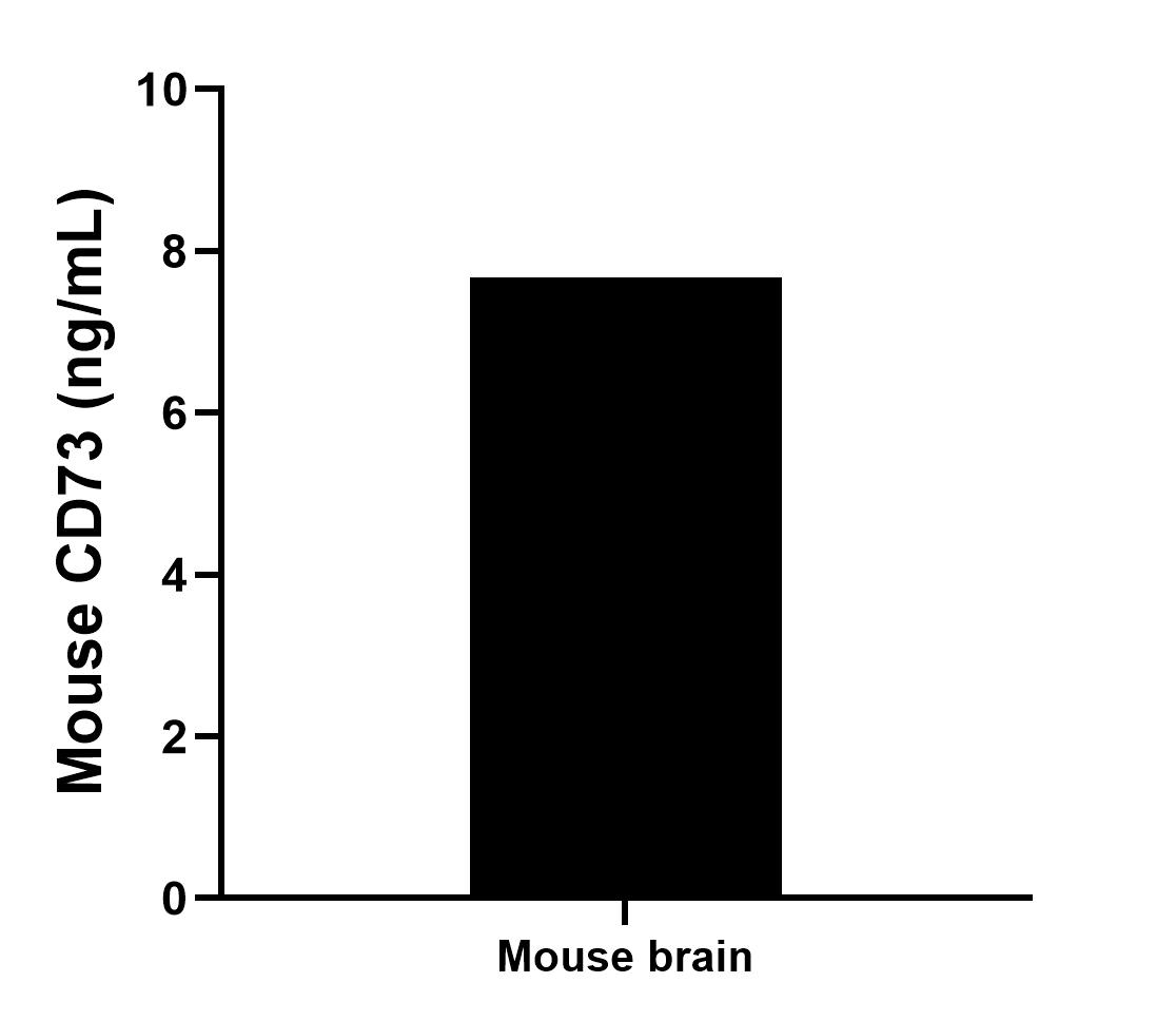 The mean CD73 concentration was determined to be 7.68 ng/mL in mouse brain tissue extract based on a 2.0 mg/mL extract load.