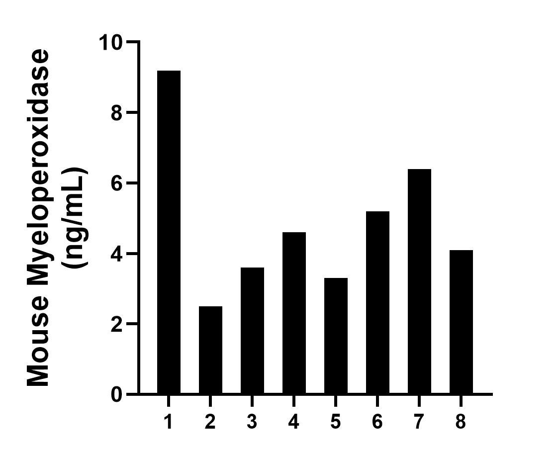 Sample test of MP01284-4