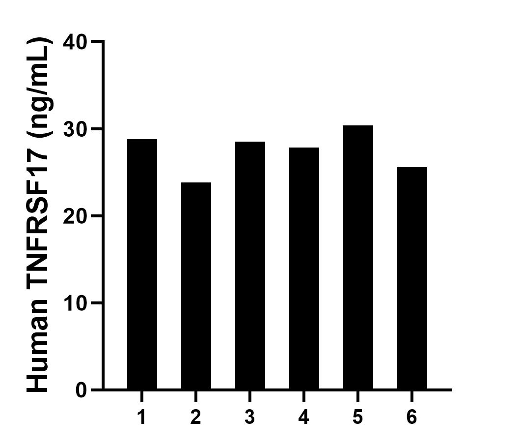 Sample test of MP01305-4