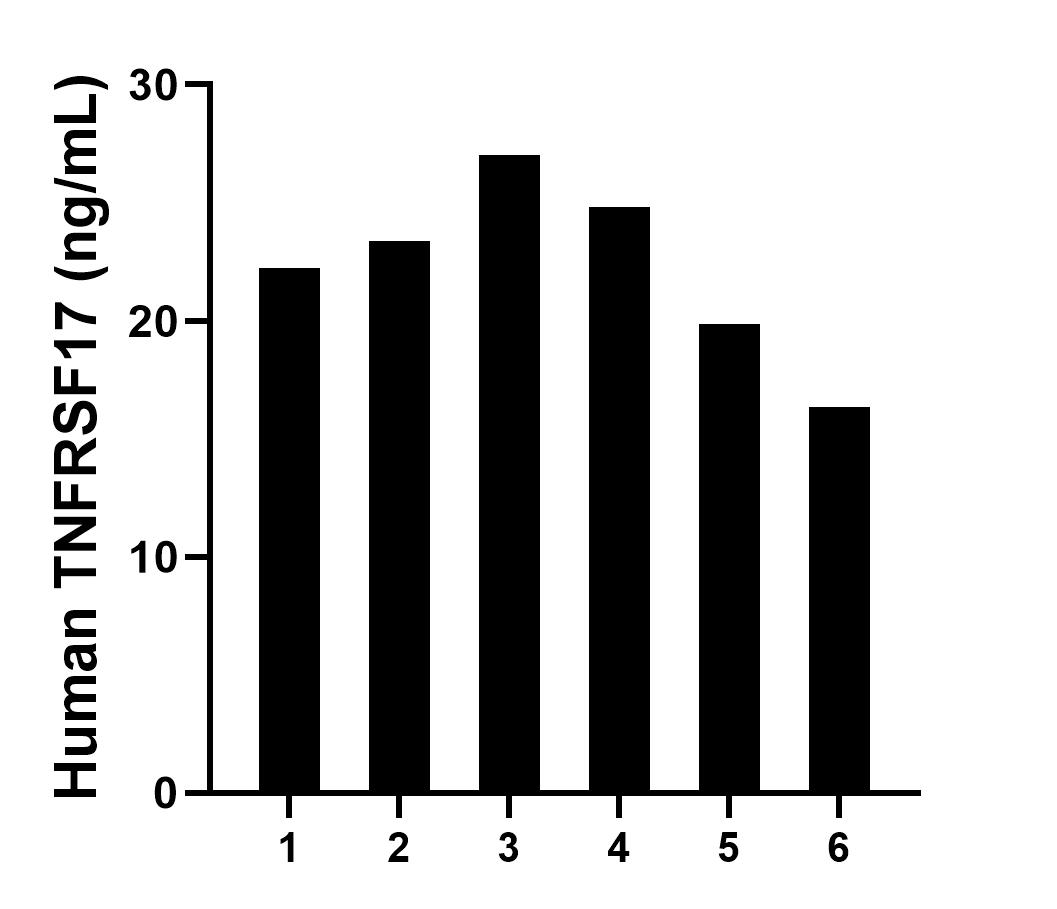 Sample test of MP01305-4