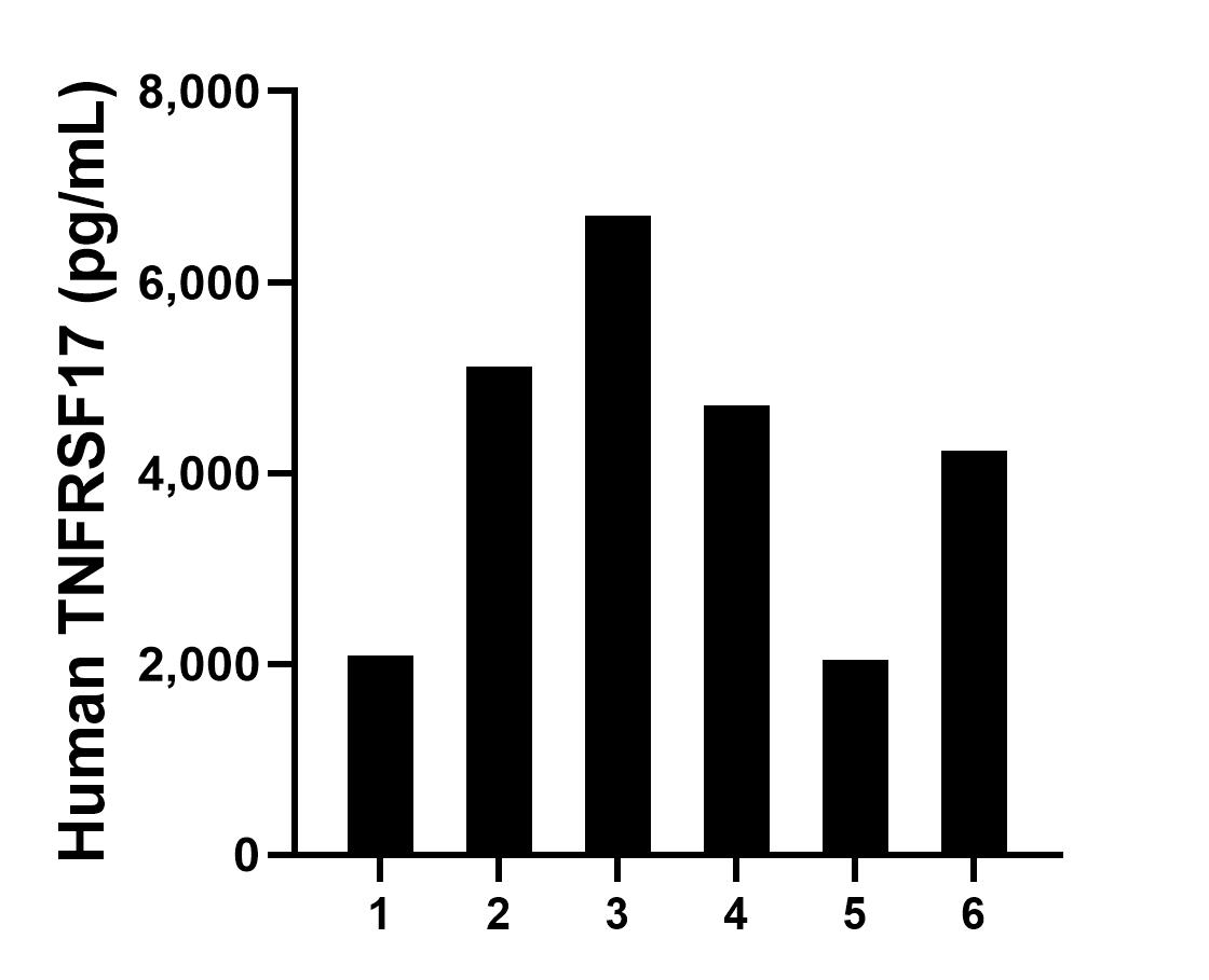 Sample test of MP01305-4