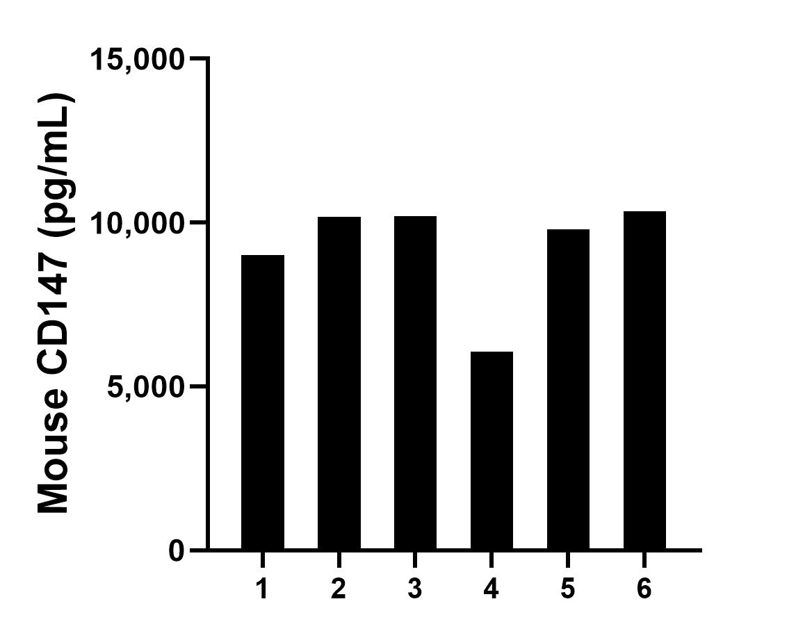 Serum of six mice was measured. The mouse CD147 concentration of detected samples was determined to be 9,267.4 pg/mL with a range of 6,072.1 - 10,344.1 pg/mL.