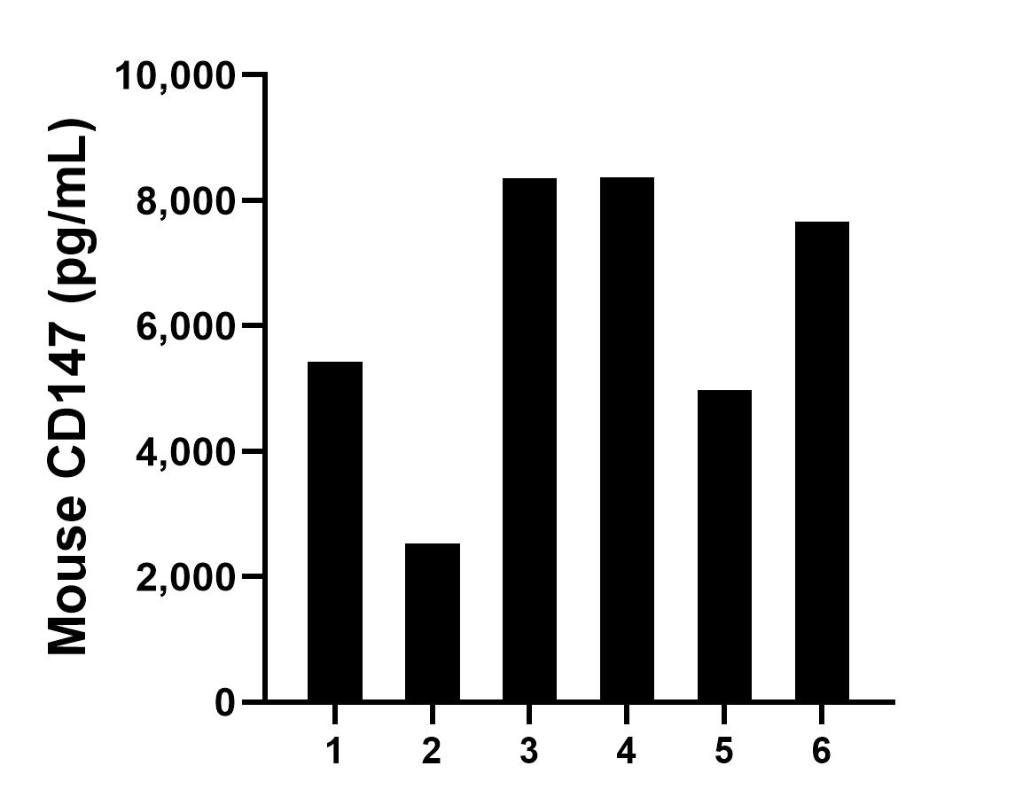 Urine of six mice was measured. The mouse CD147 concentration of detected samples was determined to be 6,220.5 pg/mL with a range of 2,528.0 - 8372.5 pg/mL.