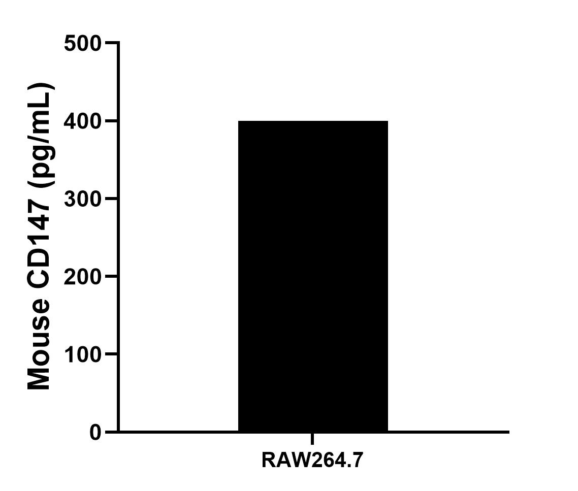 RAW264.7 cells were cultured in DMEM supplemented with 10% fetal bonive serum. An aliquot of the cell culture supernate was removed, assayed for mouse CD147, and measured 400.0 pg/mL.