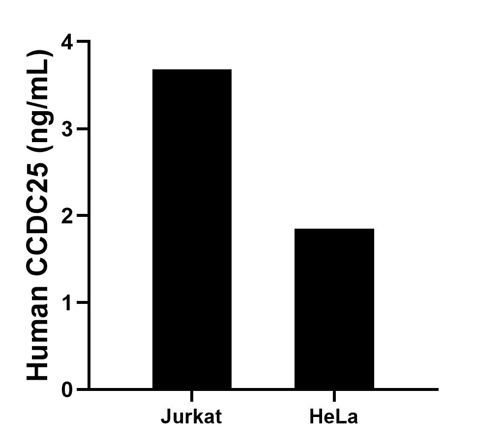 Sample test of MP01321-3