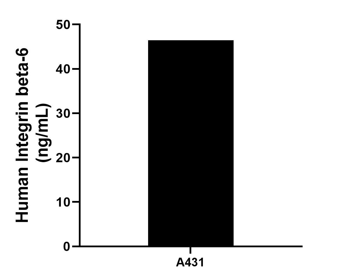 Sample test of MP01331-4