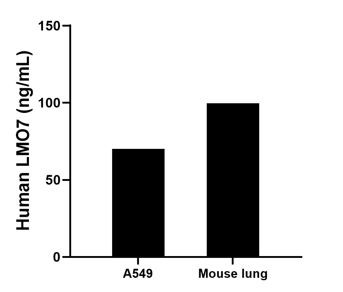 Sample test of MP01336-4