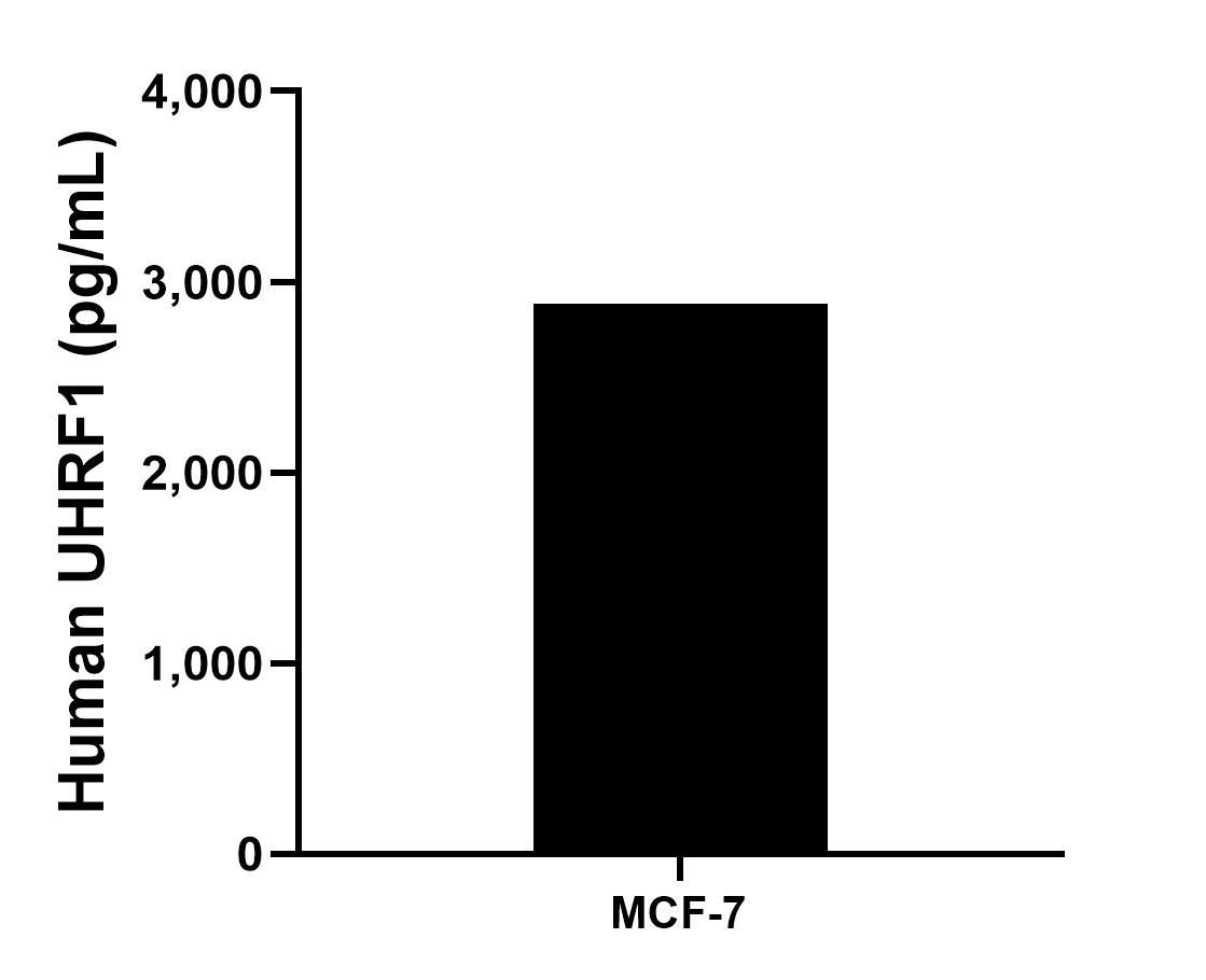 Sample test of MP01341-1