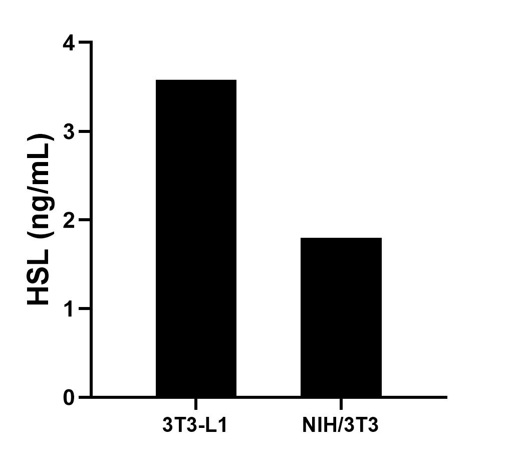 Sample test of MP01374-1