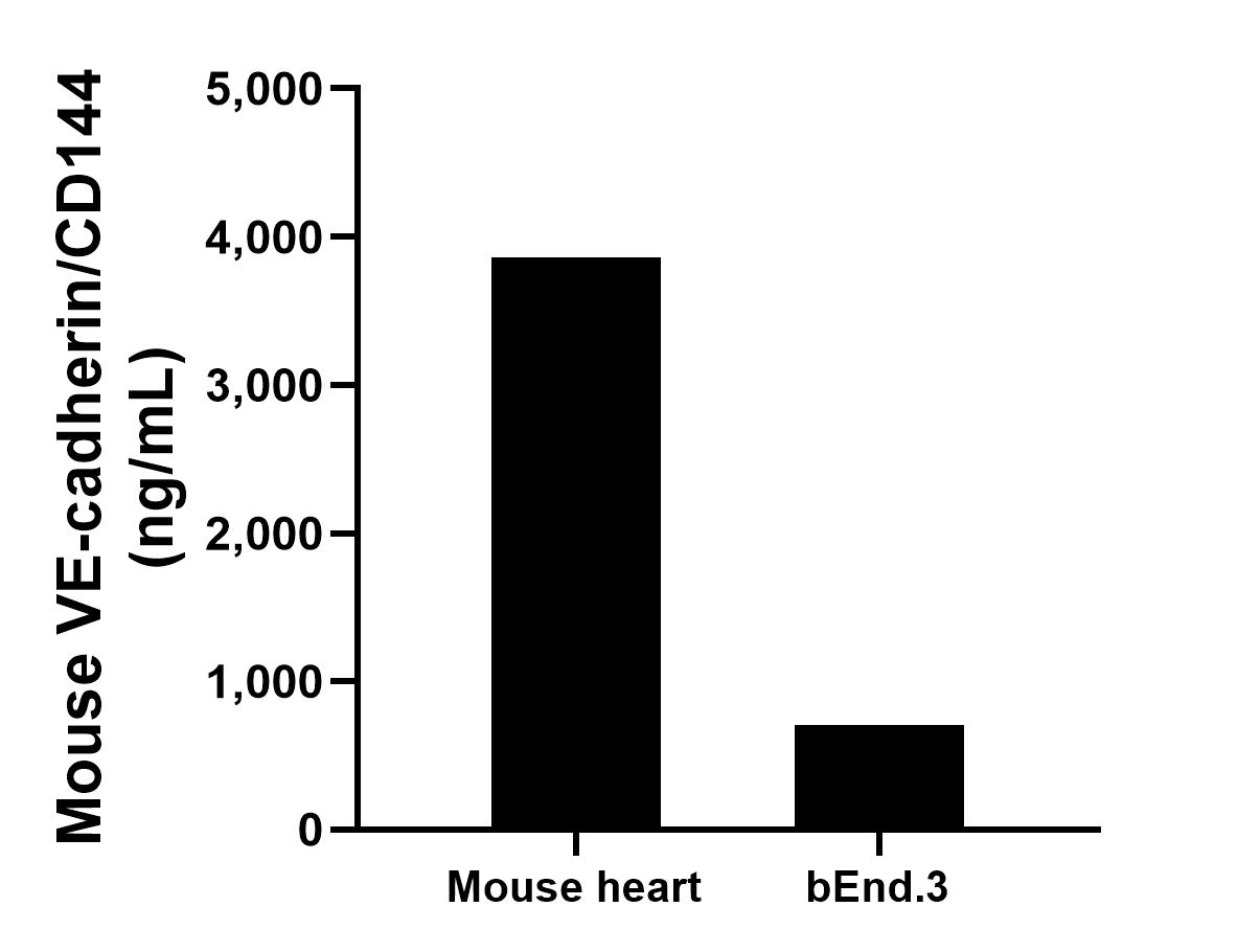 The mean VE-cadherin/CD144 concentration was determined to be 3,858.35 ng/mL in mouse heart cell extract based on a 1.20 mg/mL extract load and 709.13 ng/mL in bEnd.3 cell extract based on a 1.80 mg/mL extract load. 