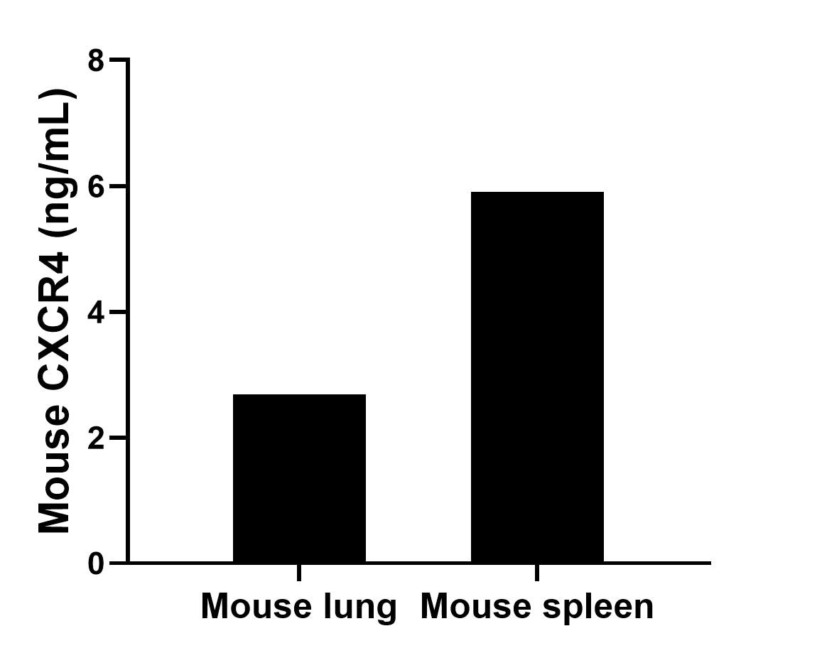 The mean CXCR4 concentration was determined to be 2.69 ng/mL in mouse lung tissue extract based on a 1.60 mg/mL extract load and 5.90 ng/mL in mouse spleen tissue extract based on a 2.90 mg/mL extract load. The mean CXCR4 concentration was determined to be 2.69 ng/mL in mouse lung tissue extract based on a 1.60 mg/mL extract load and 5.90 ng/mL in mouse spleen tissue extract based on a 2.90 mg/mL extract load.
