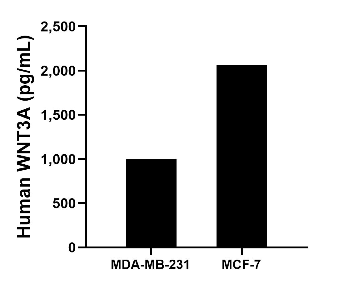 Sample test of MP01423-3