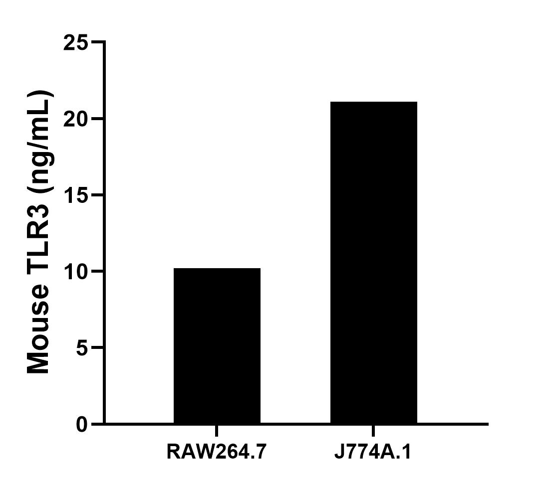 The mean TLR3 concentration was determined to be 10.21 ng/mL in RAW264.7 cell extract based on a 1.3 mg/mL extract load and 21.10 ng/mL in J774A.1 cell extract based on a 2.4 mg/mL extract load.	