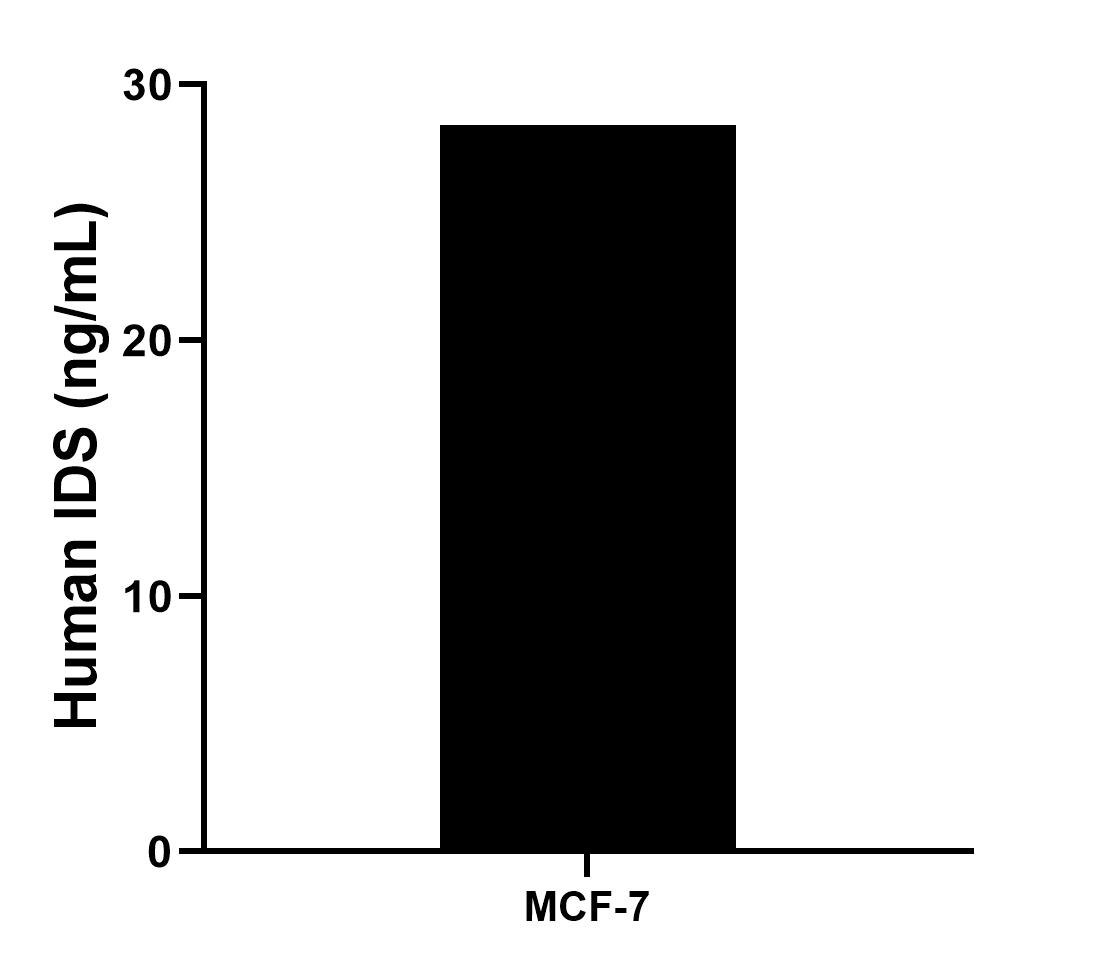 Sample test of MP01433-1