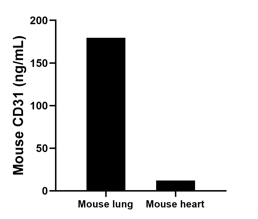 The mean CD31 concentration was determined to be 179.5 ng/mL in mouse lung cell extract based on a 1.6 mg/mL extract load and 12.0 ng/mL in mouse heart cell extract based on a 1.2 mg/mL extract load. 