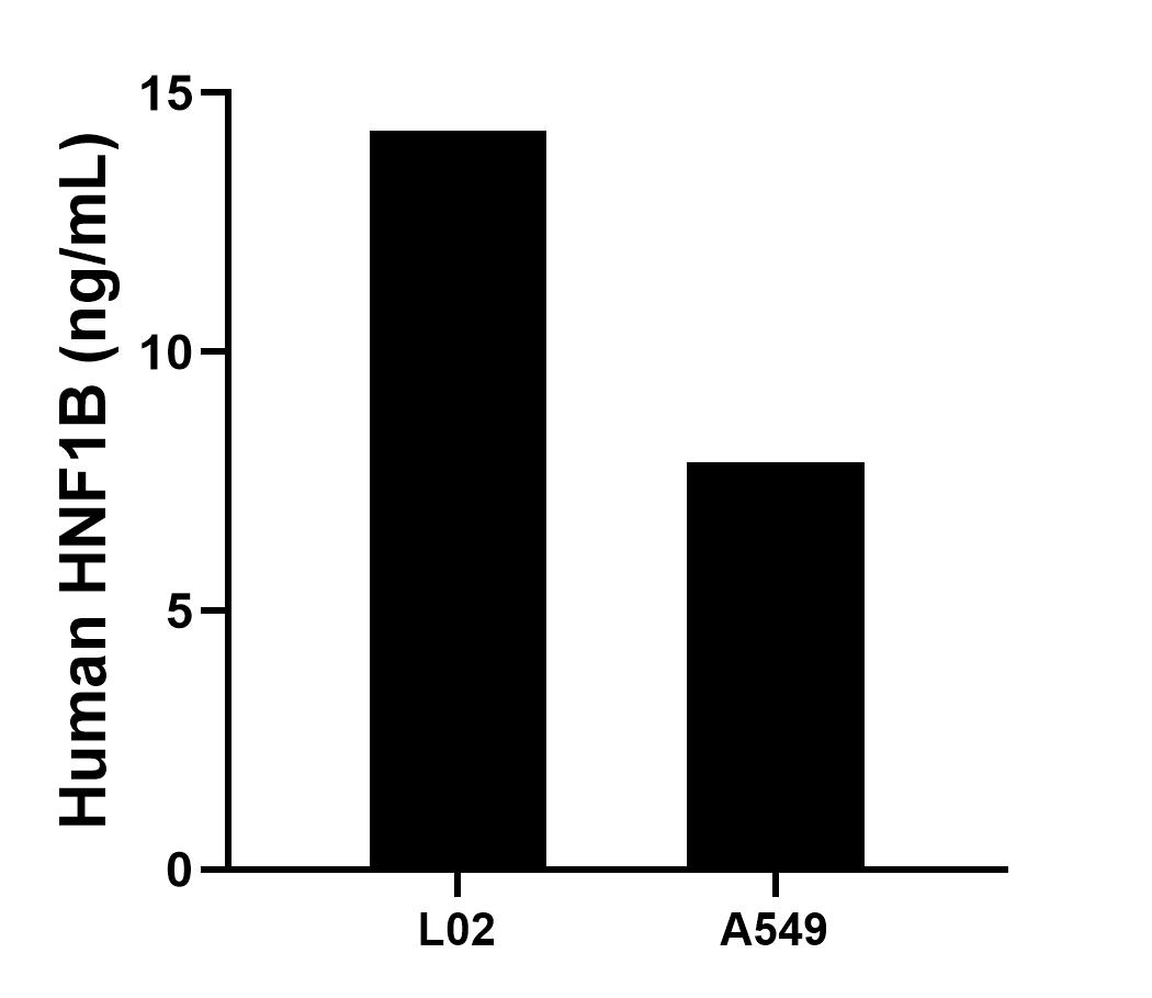 Sample test of MP01499-1