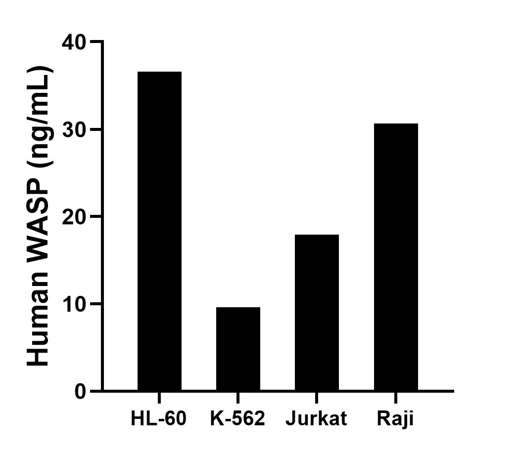 Sample test of MP01520-3