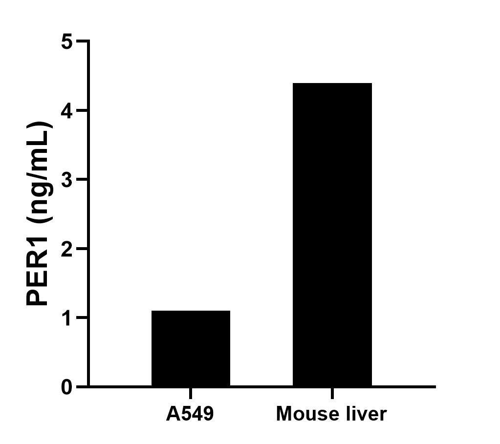 Sample test of MP01530-1