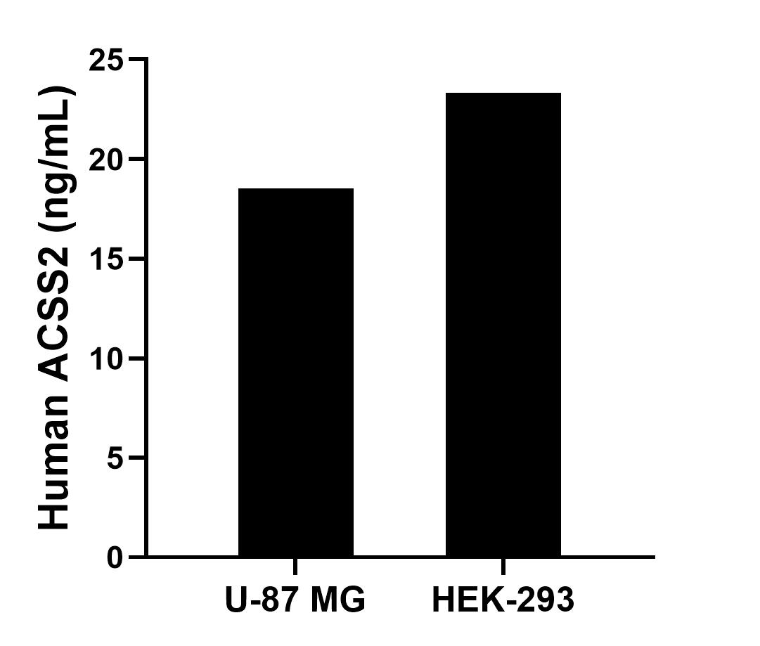 Sample test of MP01551-3