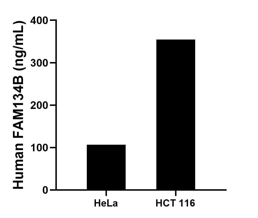 Sample test of MP01561-1