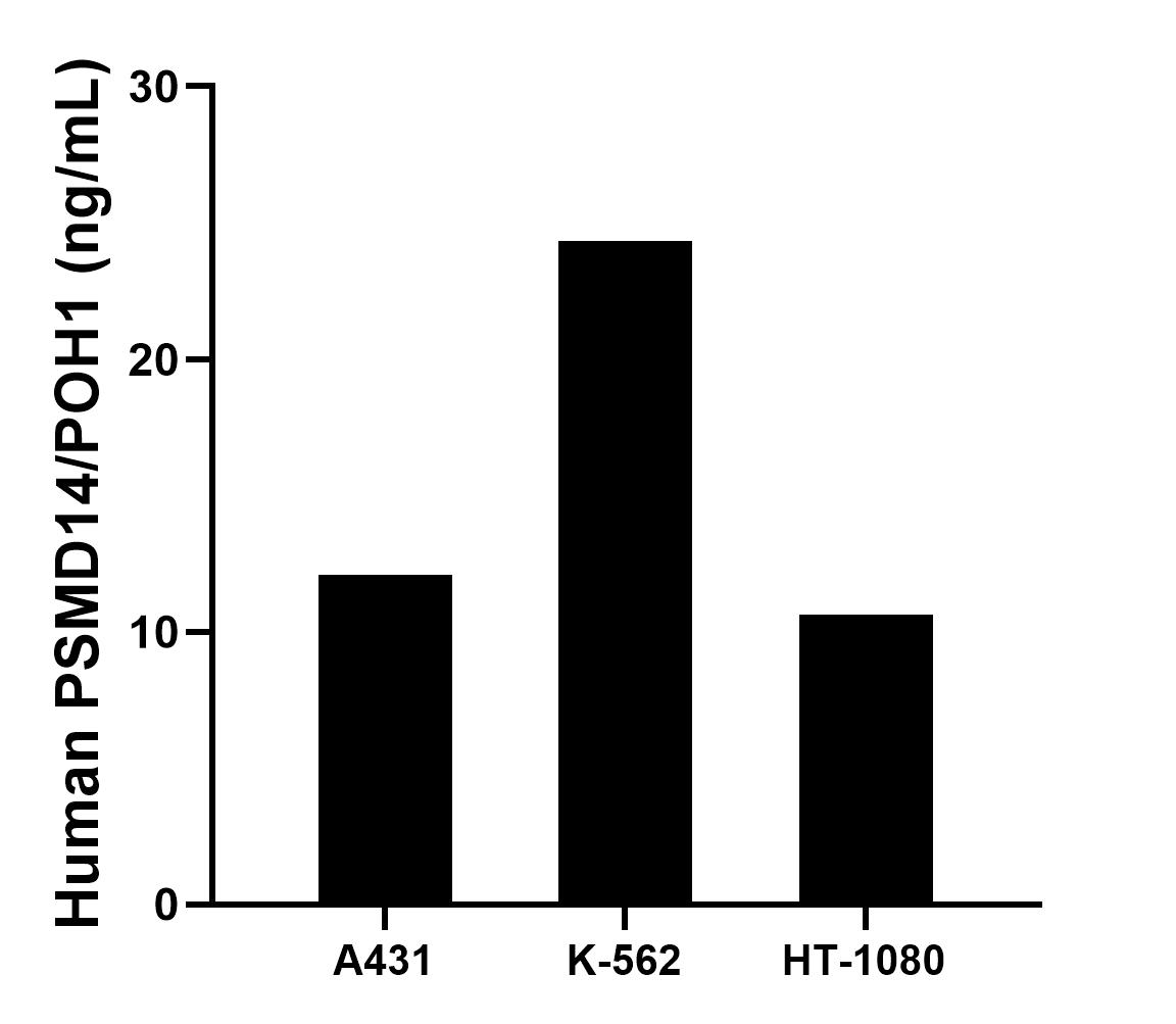 Sample test of MP01566-3