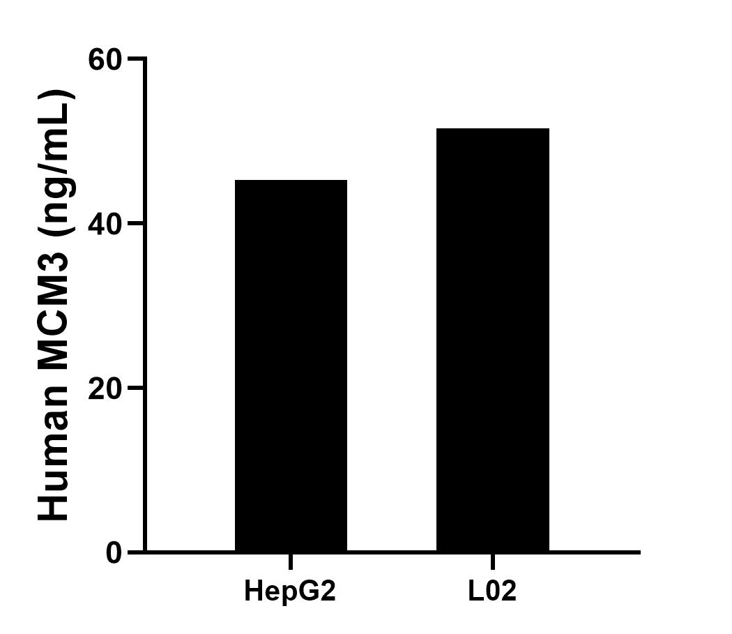 Sample test of MP01593-3