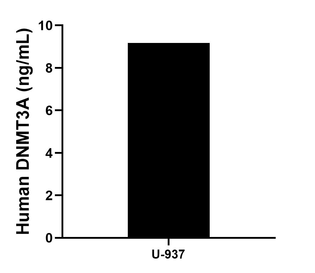 Sample test of MP01598-3